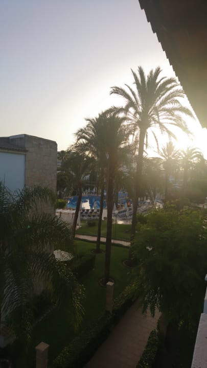 Pool Alcudia Garden Aparthotel