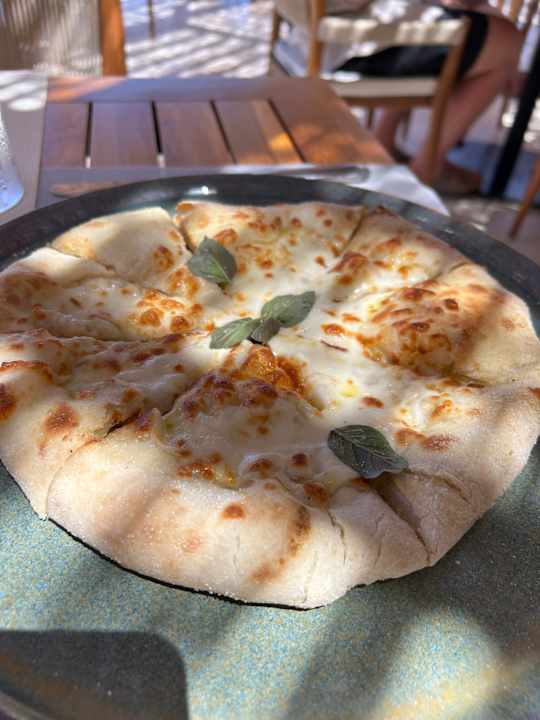 Gastro JAZ Elite Asteria