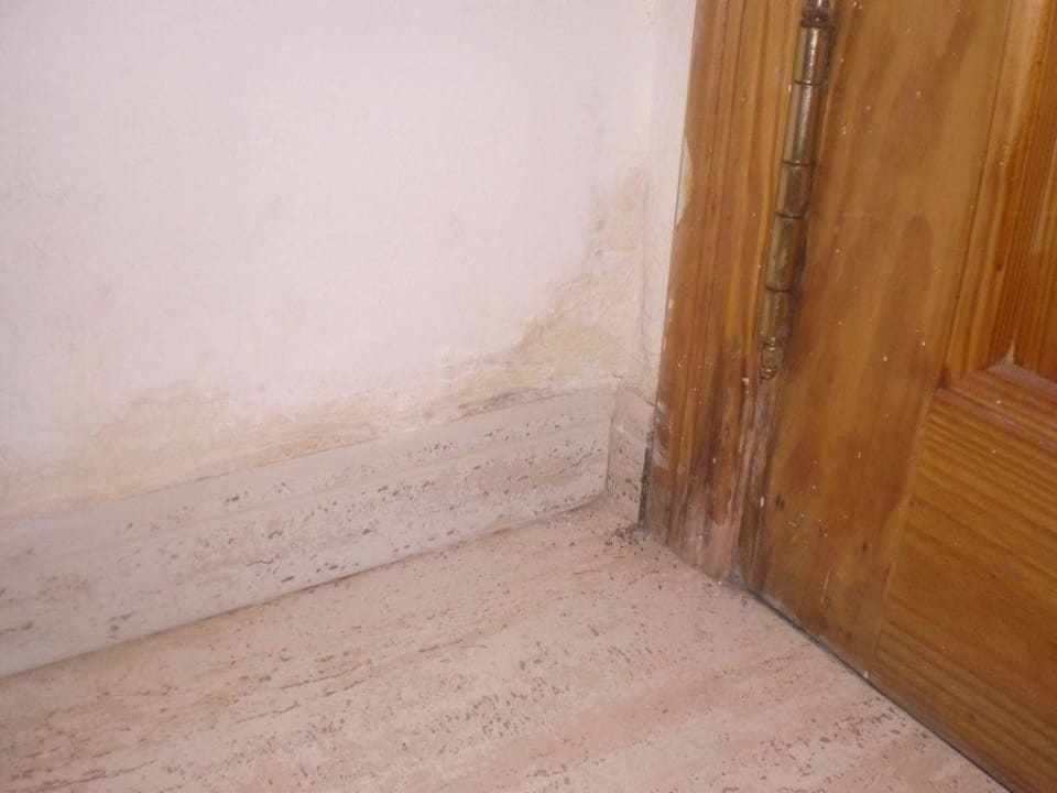 Zimmer R2 Lago Playa Park