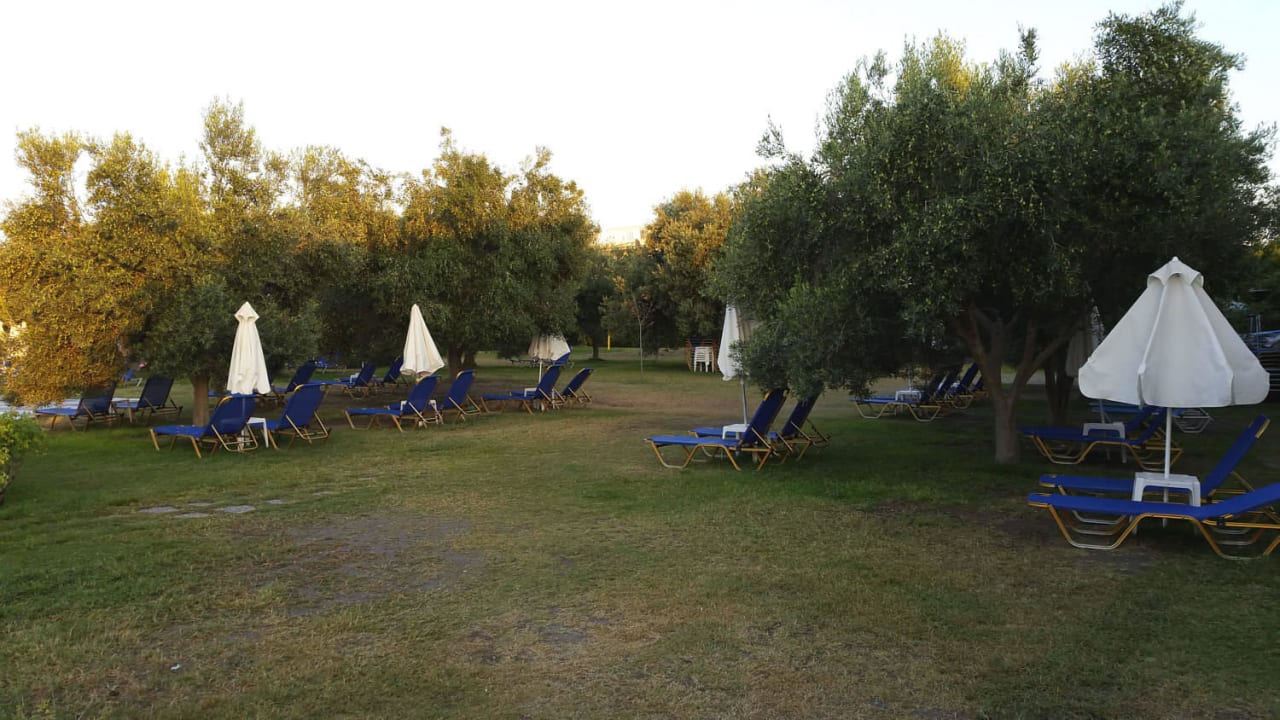 Hotelanlage sauber (Personal äußerst freundlich!) Domes Noruz Kassandra | Adults-Only