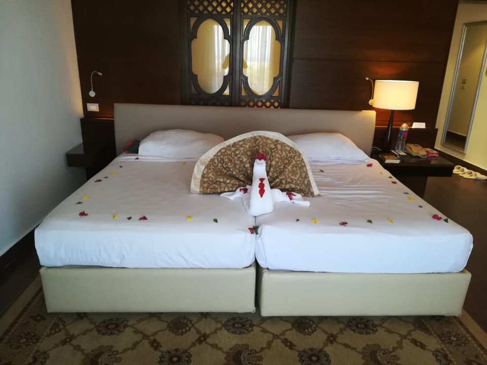 Zimmer Steigenberger Makadi Hotel - Adults only