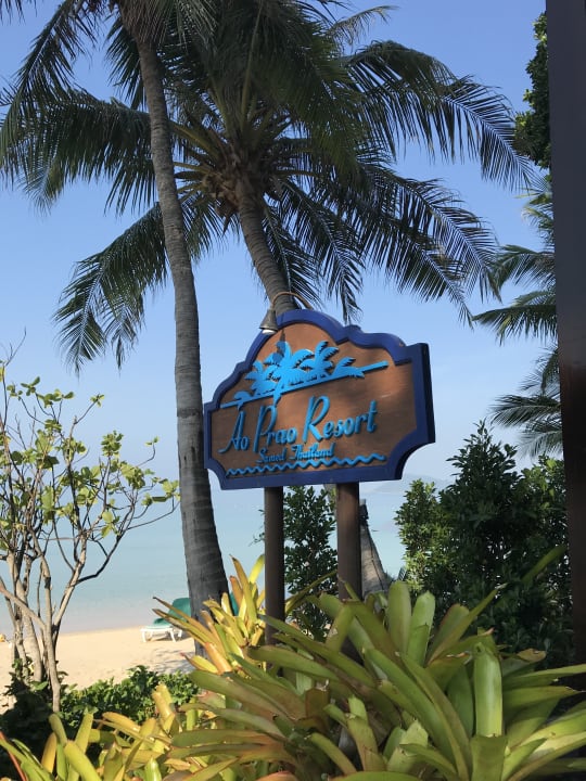 Gartenanlage Ao Prao Resort