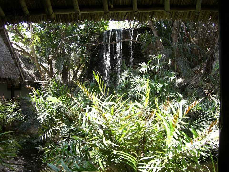 Grüne Ecke in der Eingangshalle Hotel Southern Palms Beach Resort