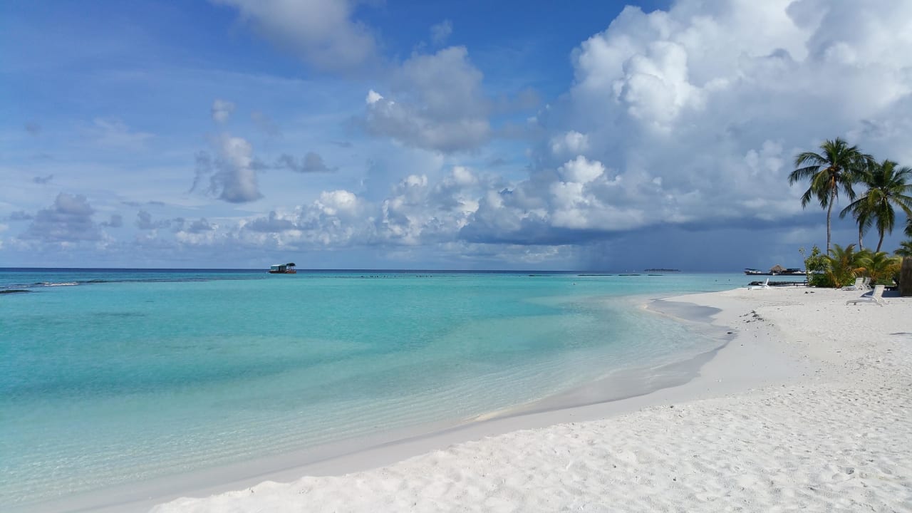 Strand  Summer Island Maldives