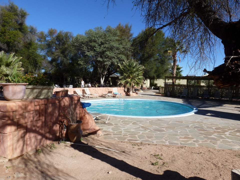 Pool Hammerstein Lodge & Camp