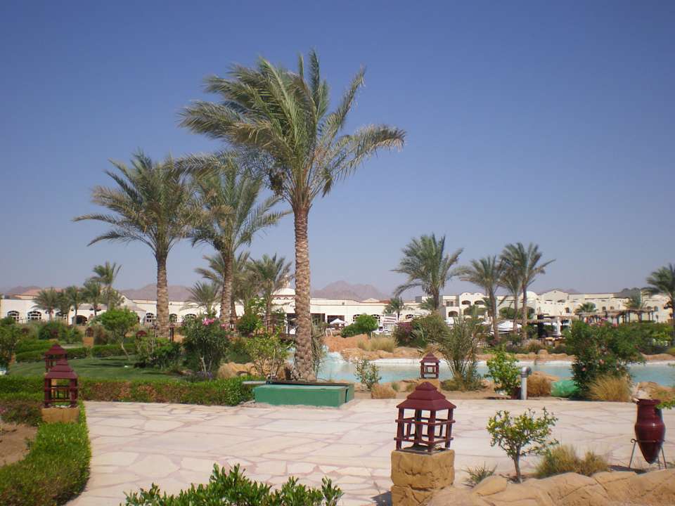 Ogród Regency Plaza Aqua Park & Spa