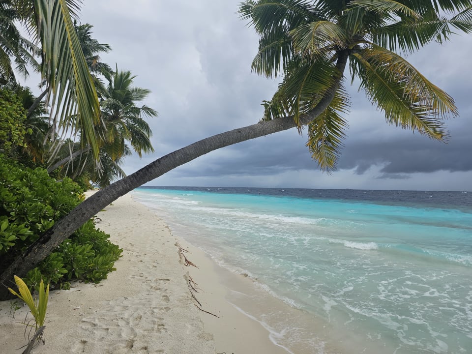 Außenansicht Filitheyo Island Resort