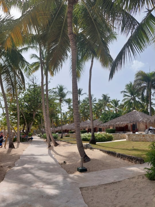 Außenansicht Hotel Viva Dominicus Beach by Wyndham - All Inclusive Resort