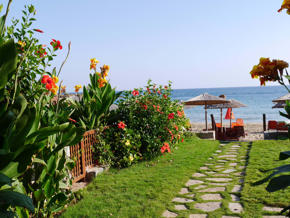 Weg zum Strand High Beach Resort