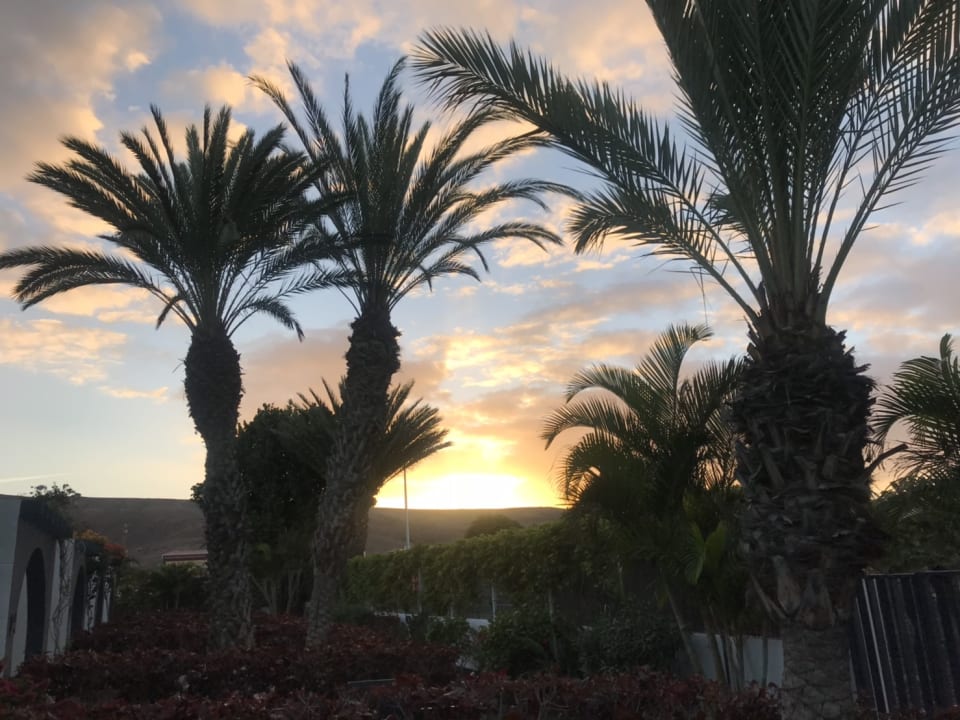 Ausblick R2 Romantic Fantasia Suites - Adults only