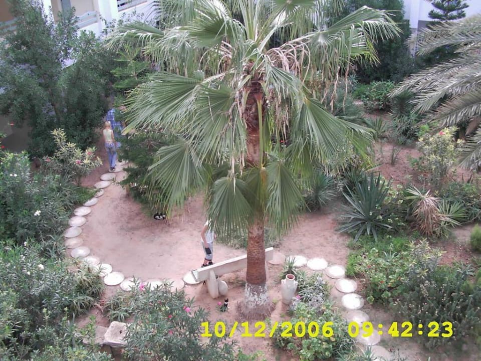 Gartenanlage Hotel Paradis Palace