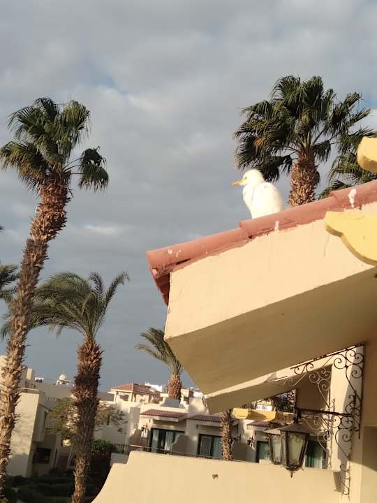 Zimmer Lotus Bay Beach Resort