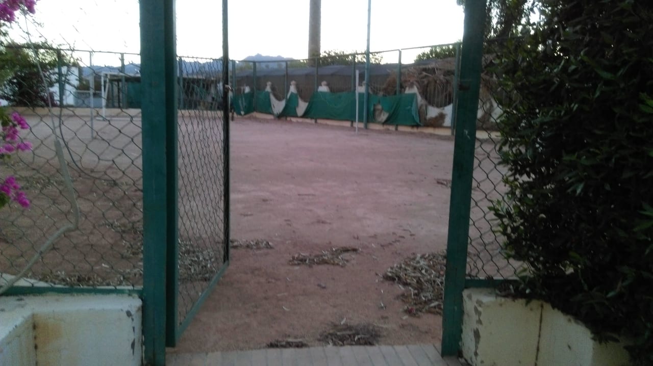 Kort tenisowy Hotel Noria Resort