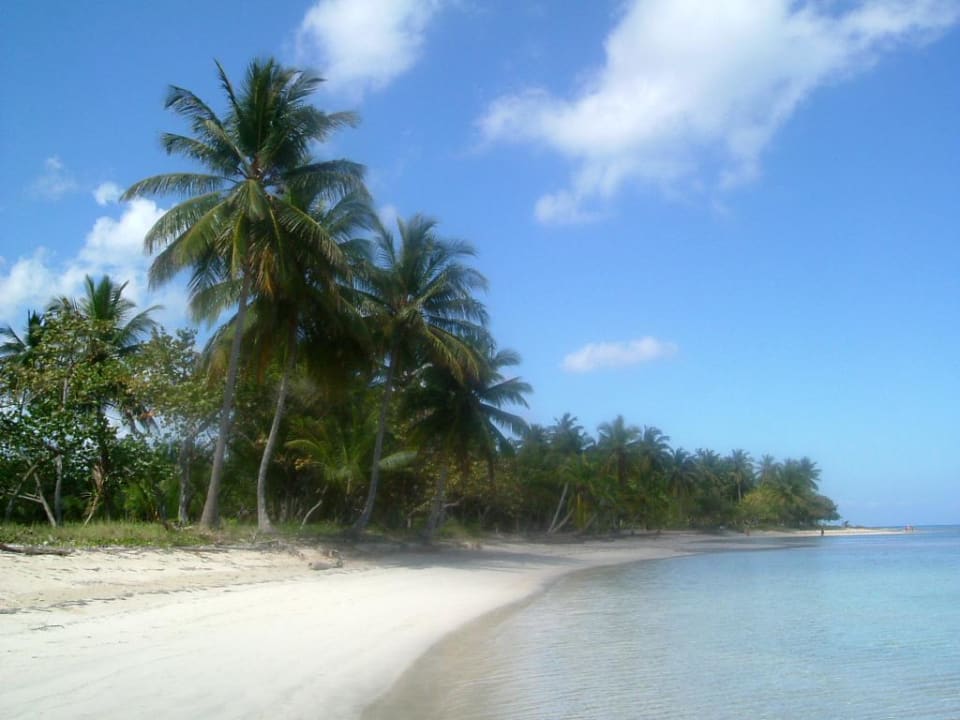Hotelstrand1-El Portillo Bahia Principe Grand El Portillo