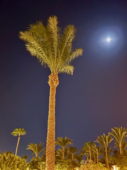 Ausblick Pharaoh Azur Resort