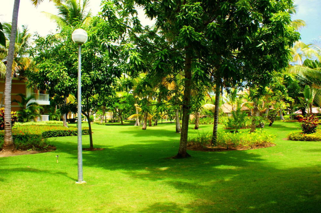 Hotel Grand Palladium Bavaro Resort & Spa Grand Palladium Select Bávaro Resort & Spa