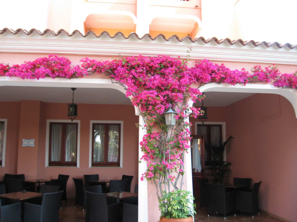 Eingang von der Terrasse Cala Ginepro Hotel Resort & Spa