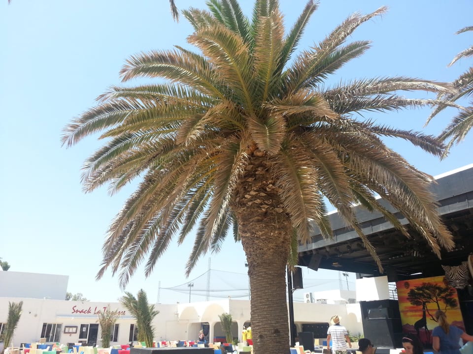 Vor Bühne Samira Club