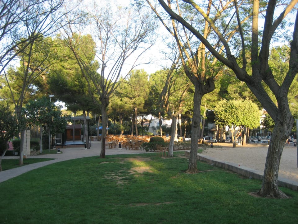 Blick zur Aussenbar Protur Floriana Resort Aparthotel