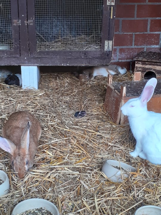 Sonstiges Landhuus Laurenz