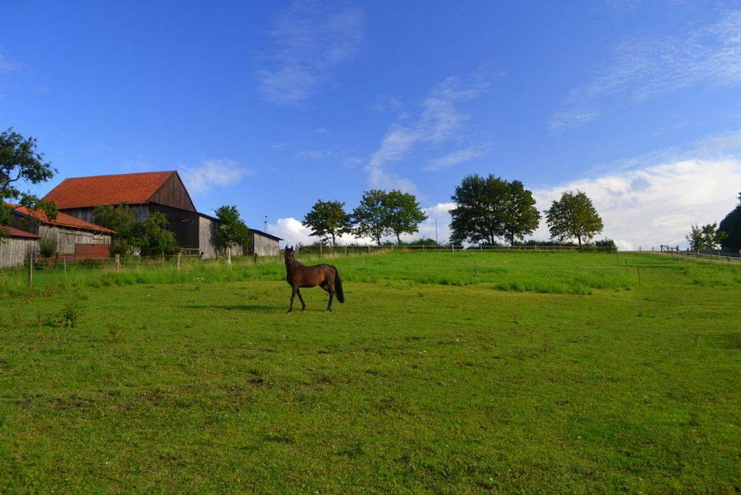 Umgebung Pension Buttgereit