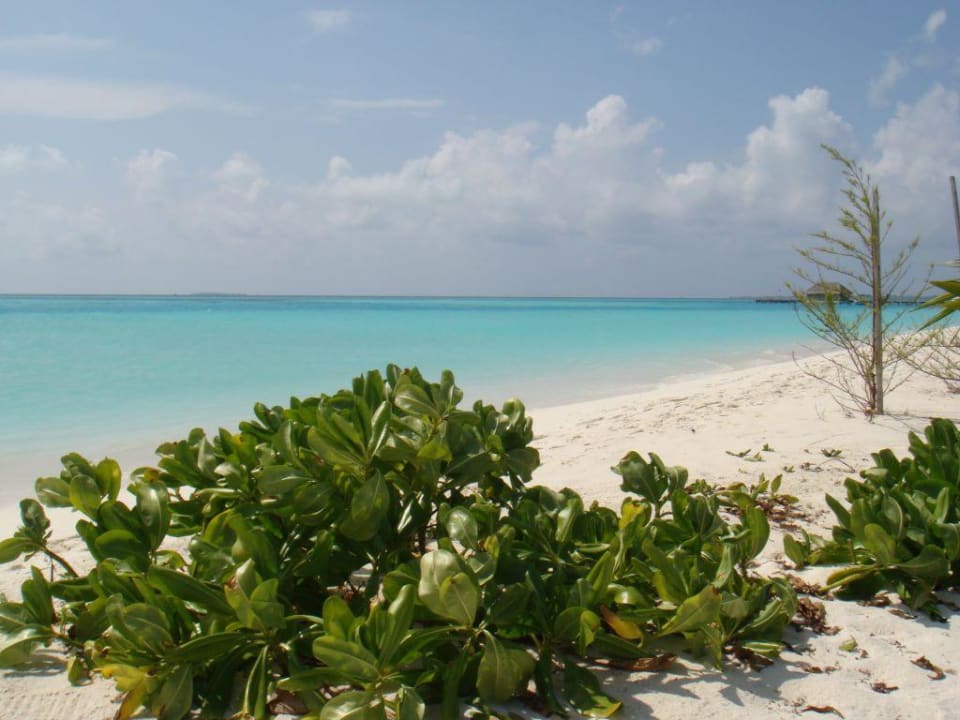 Strand Six Senses Kanuhura
