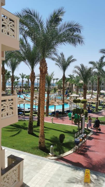Pool Pickalbatros Palace Resort