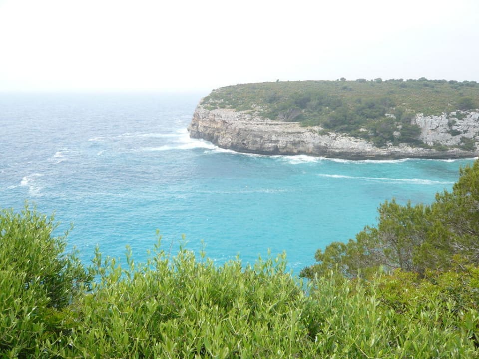 Meerblick von der Anlage aus blau punta reina