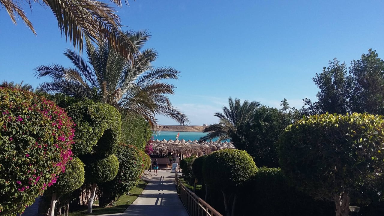 Ausblick vom Hauptrestaurant auf Lagune TUI MAGIC LIFE Kalawy