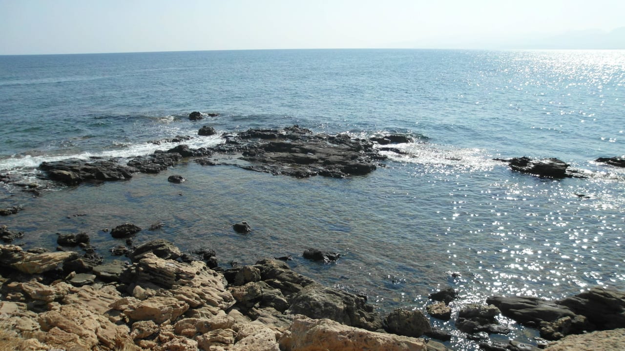 Eine Minute vom Hotel Strand entfernt Hotel Evelyn Beach