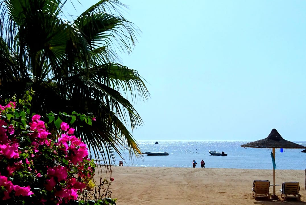 Strand Brayka Bay Resort