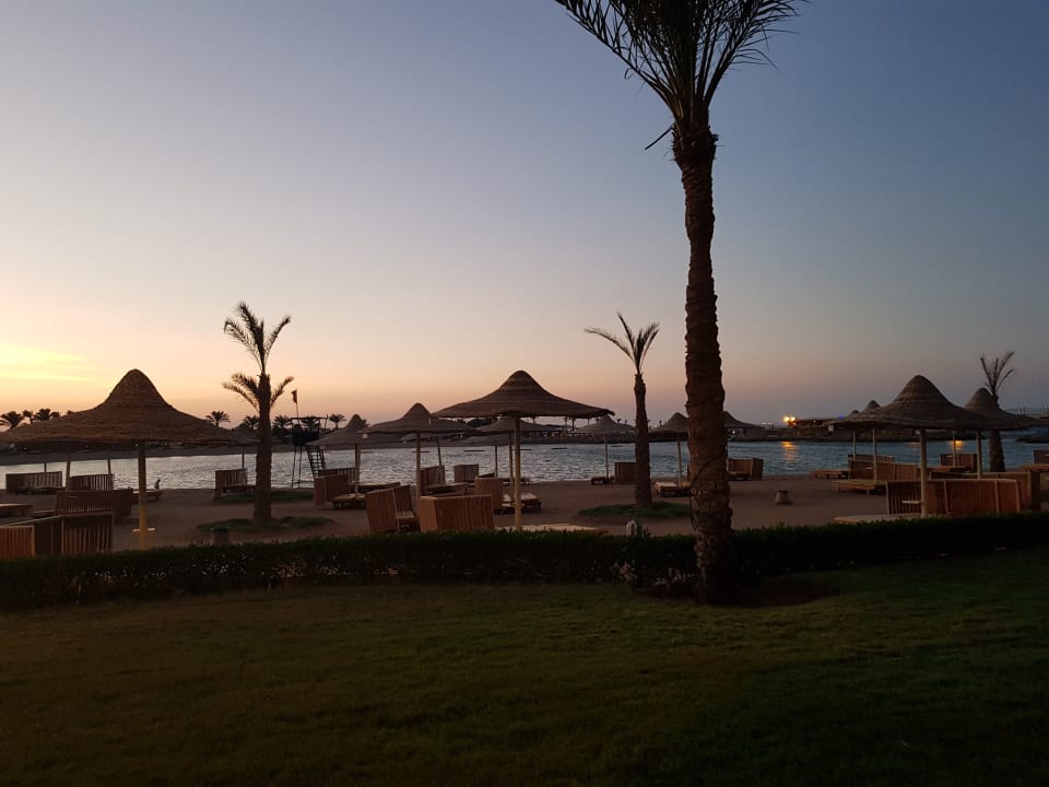 Ausblick Desert Rose