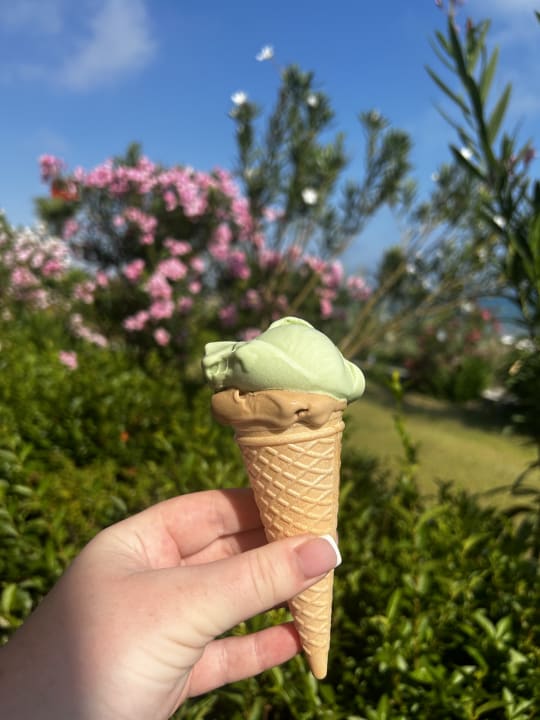 Gartenanlage Club Sidelya Hotel