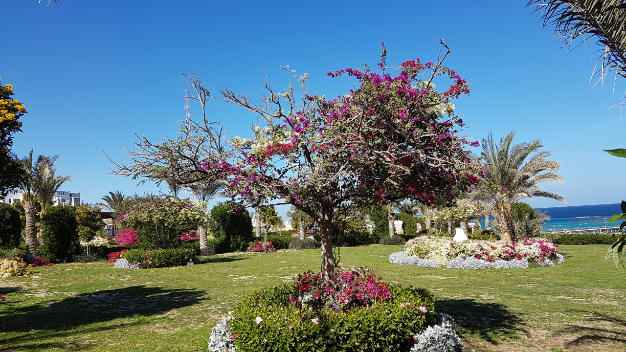 Gartenanlage Fantazia Resort Marsa Alam