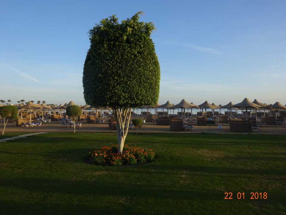 Gartenanlage SUNRISE Garden Beach Resort