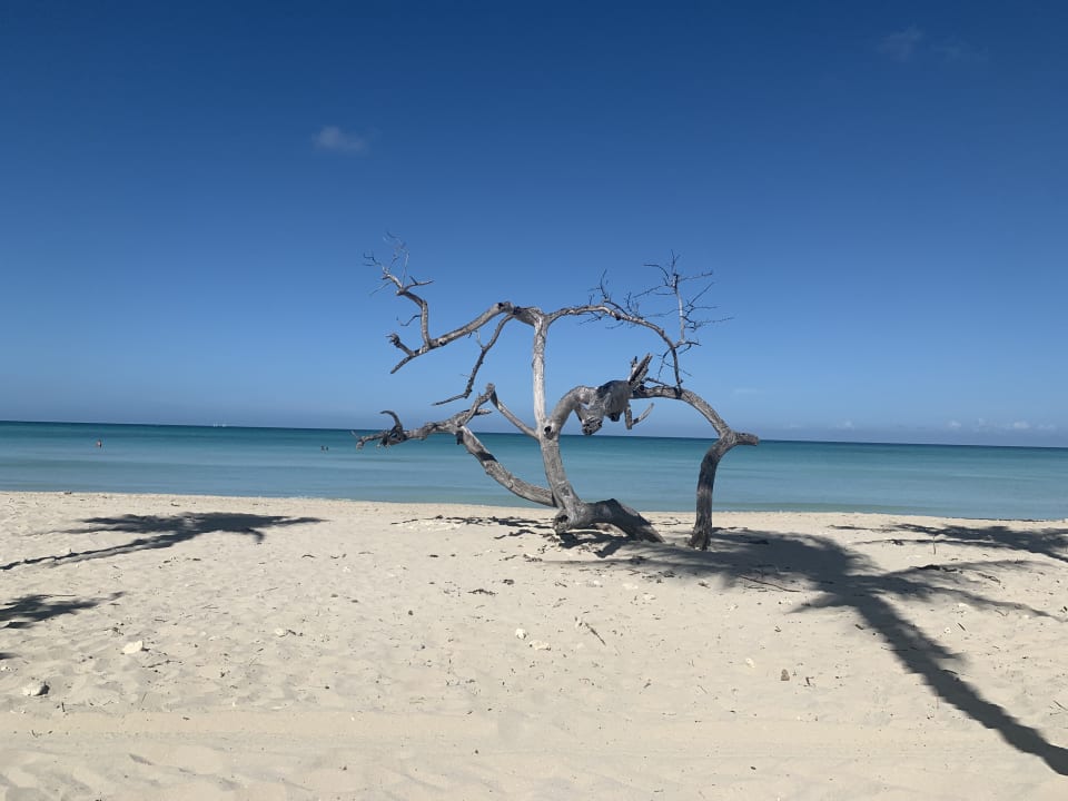 Strand Paradisus Varadero Resort & Spa