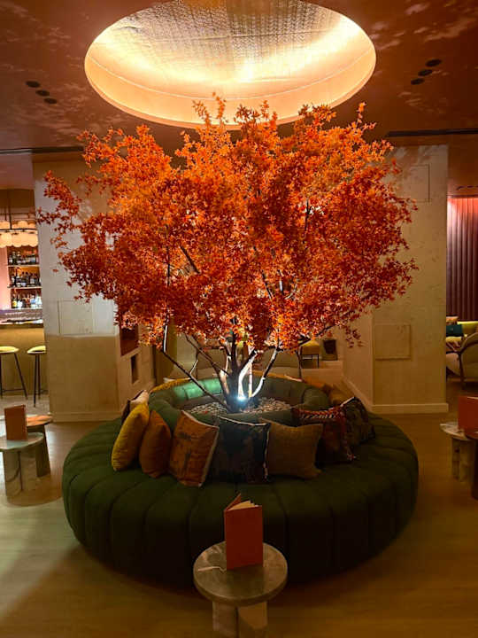 Ausblick Desert Rose