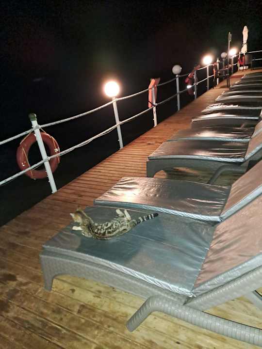 Strand Hotel Delphin Diva