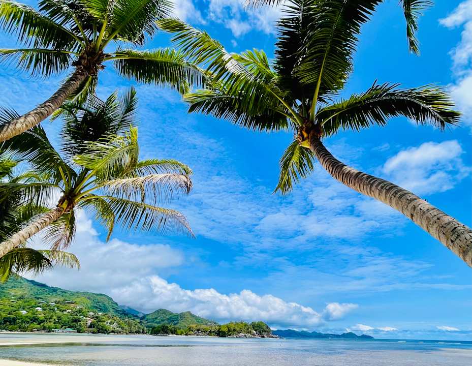 Strand Constance Ephelia