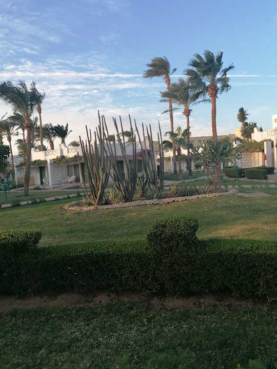 Außenansicht Shams Safaga Resort