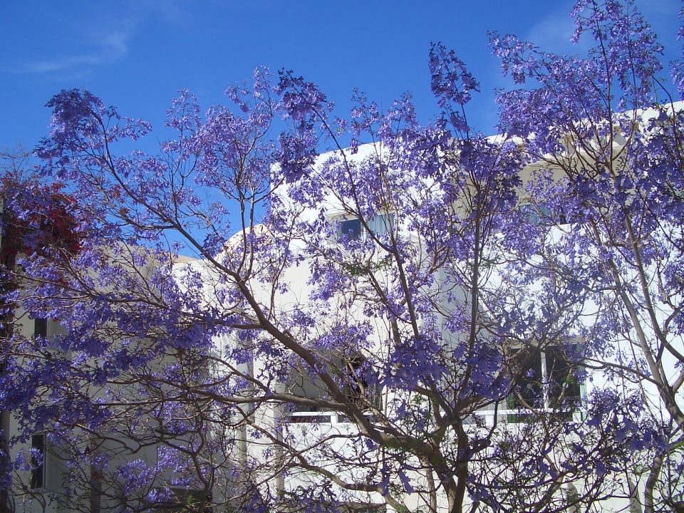 Ausblick Hotel El Mouradi Djerba Menzel
