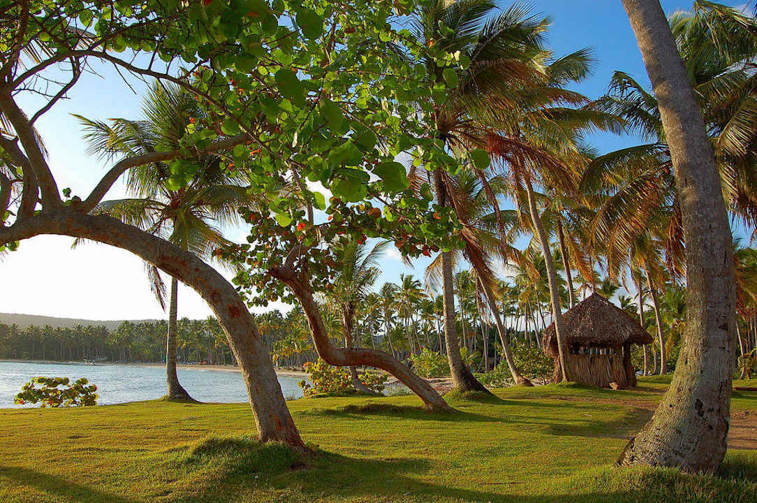 Am Strand Wyndham Alltra Samana