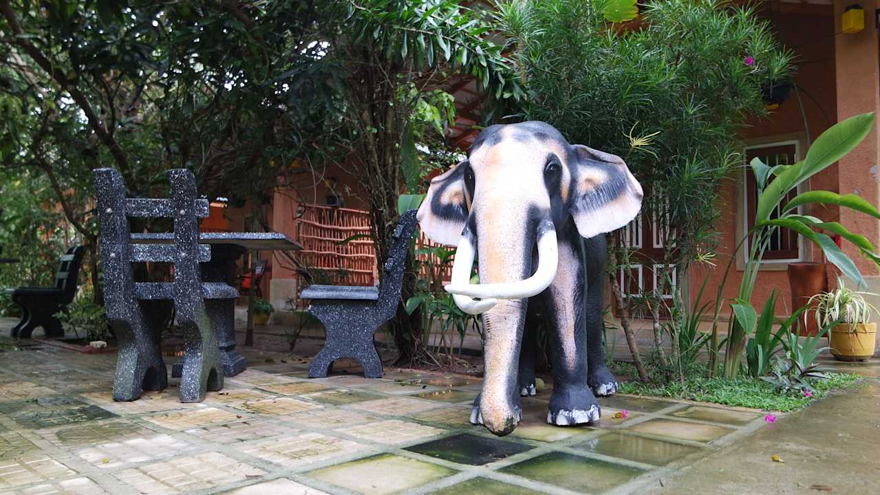 Gartenanlage La Perla Bentota