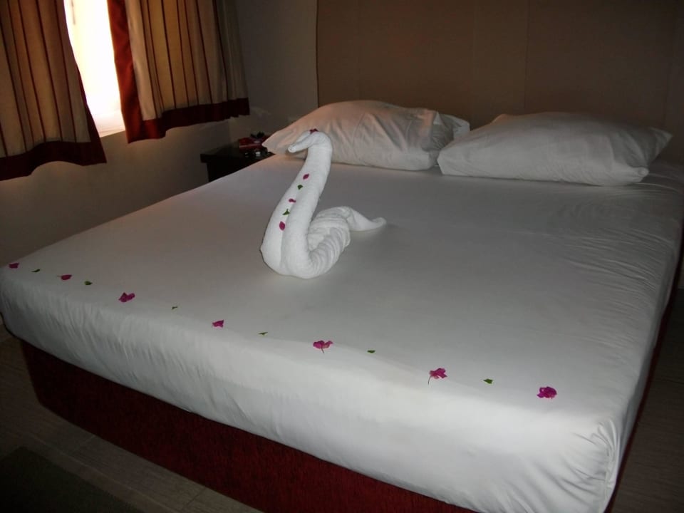 Augenschmaus Jaz Makadi Oasis Resort