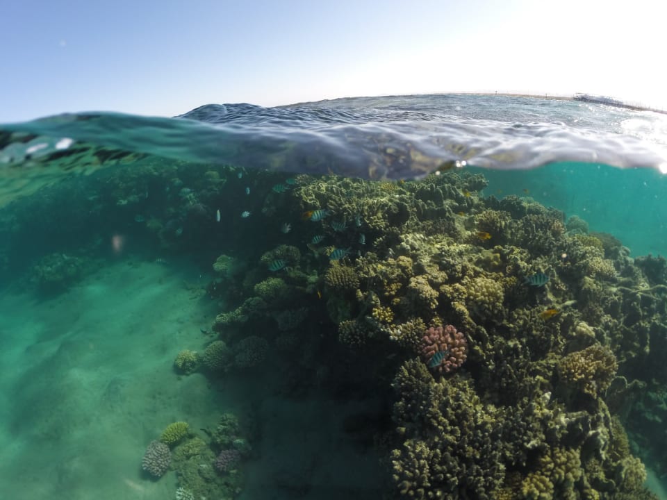 Sport & Freizeit Shams Alam Beach Resort