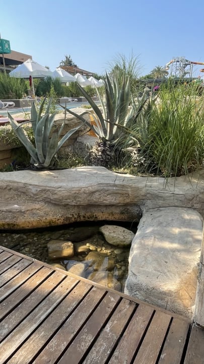 Gartenanlage TUI BLUE Xanthe