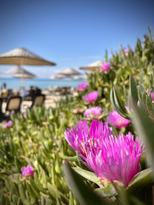 Strand Ela Excellence Resort Belek