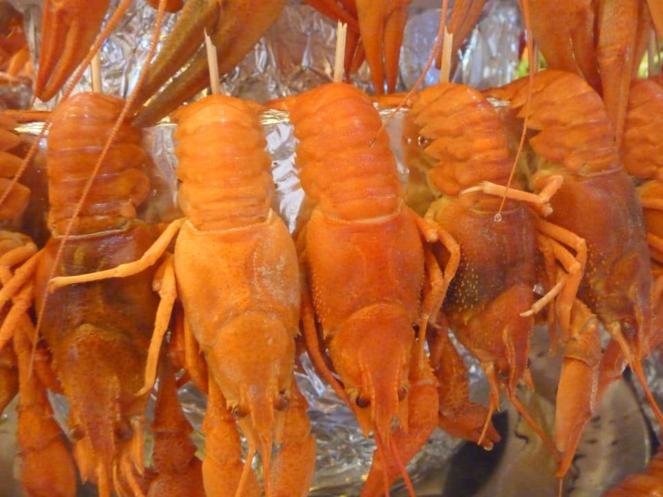 Gala Abend Arum Barut Collection