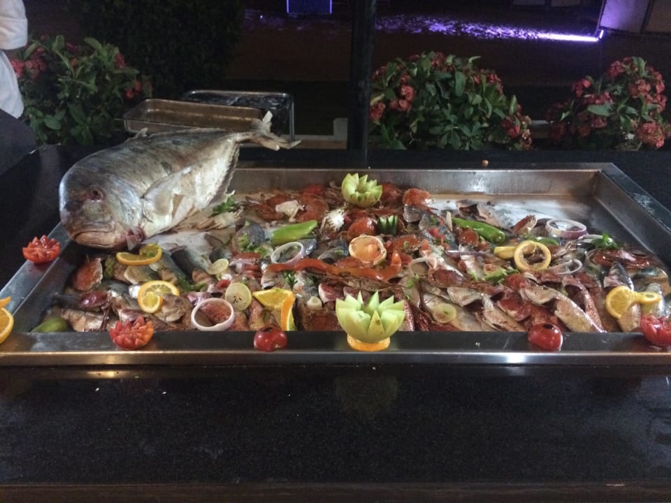 Live Kochen Beach Albatros Resort