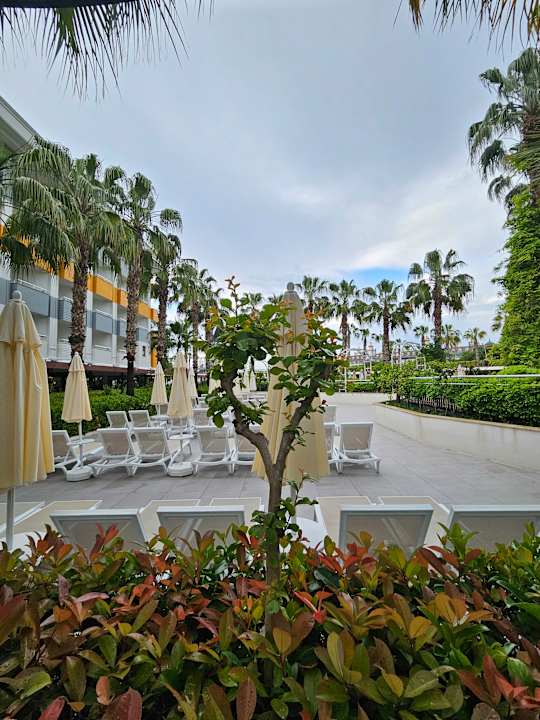 Gartenanlage Hane Family Resort